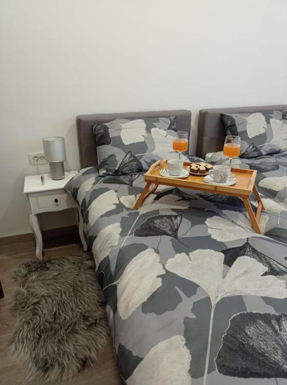 Апартаменты Apartman Cezar Риека Экстерьер фото